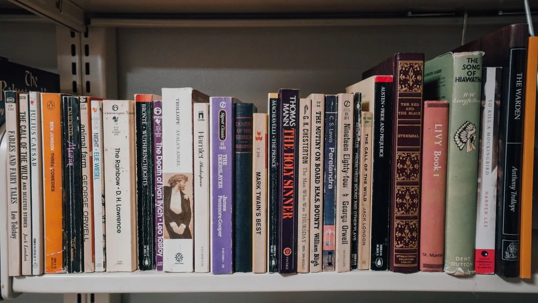 Books on shelves