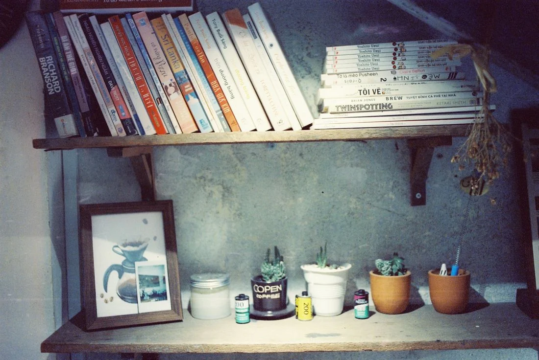 Books and plants on shelves