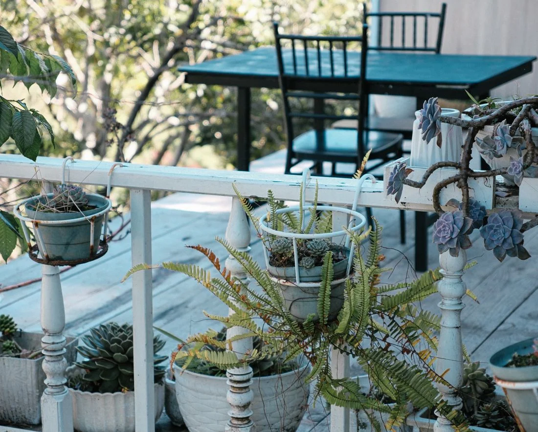 Potted plants around a patio table and chairs